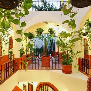 https://el-patio-apartments.allrivieramayahotels.com